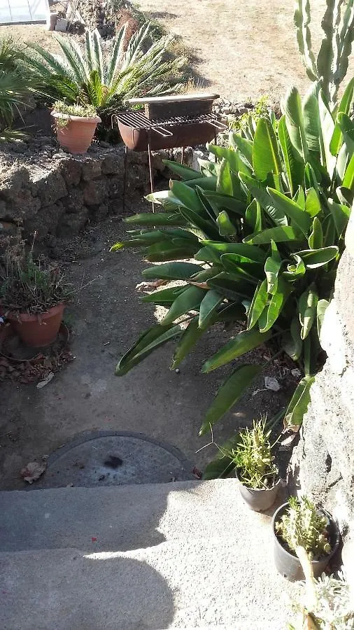 Le Due Cycas Villa Siba 0*,  Italia